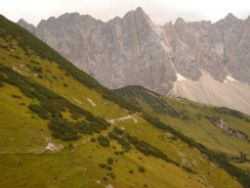 2013-09-08_6Falkenh-Steinfalk (072).JPG